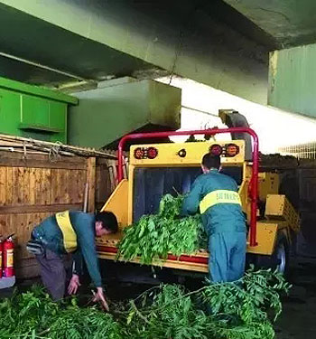 果蔬垃圾如何变身有机肥料?